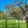 a fenced in area with trees and buildings in the background