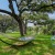 Hammock Lounge